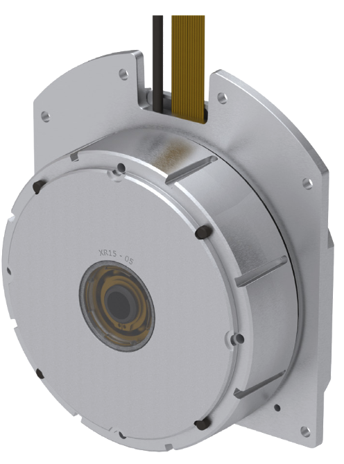 Low Profile Wheel Motor/Light Vehicles