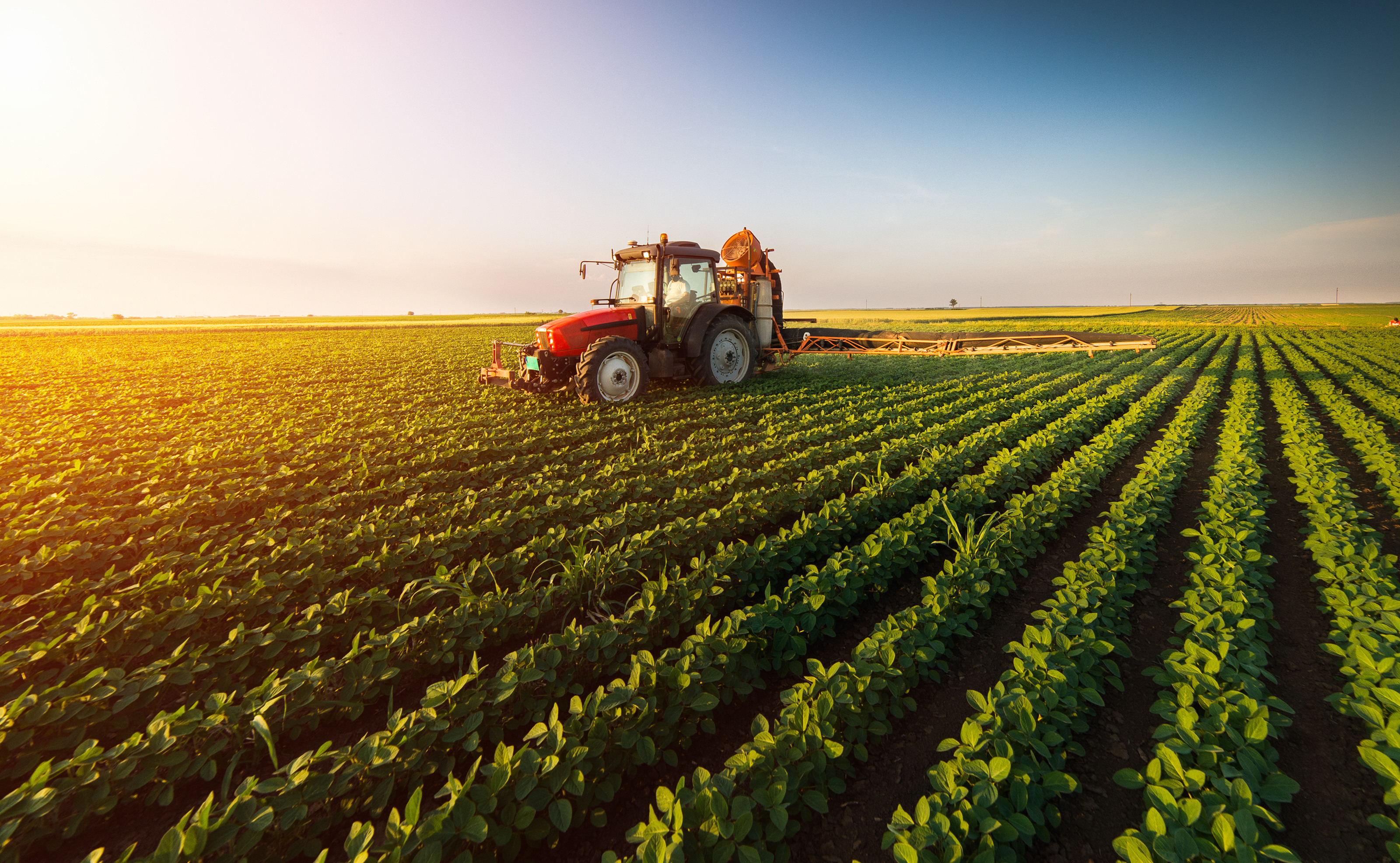 Agriculture Agriculture